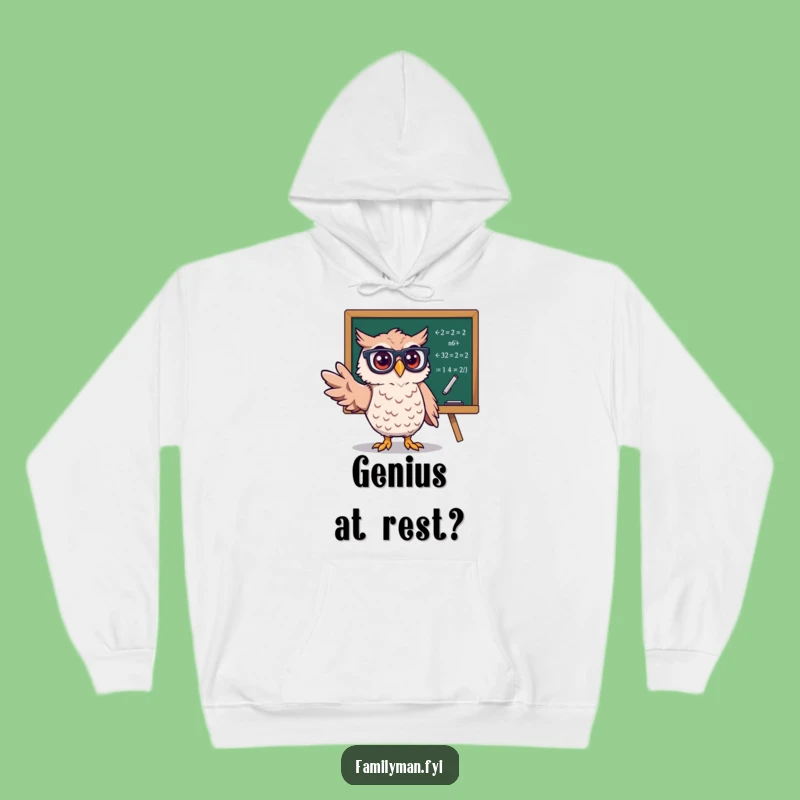 Funny Owl Professor Hoodie: Cozy, Smart Character Design for a Funny Gift
